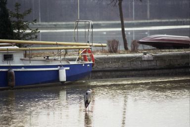 canal de jonction  et Meuse  Devant-le-Pont / Vis